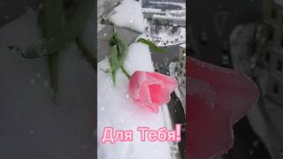 С добрым чудесным утром ❤️