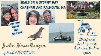 SEALS ON A STORMY DAY