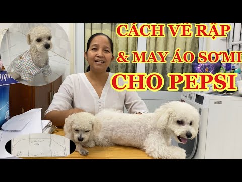 Video: Cách May Lambriquin Cứng