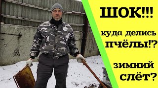 ШОК!!! Куда делись пчёлы?! Приехали проведать пасеку и обалдели...