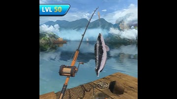Fishing Master 3D 3.1