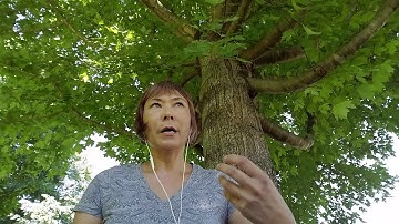 The Stress of Fear and Survival - The Undefined Spleen Center - Human Design