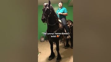 new song in approximately 2 minutes