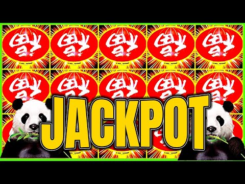 Spinpanda: Het Beste Online Casino Om Te Spelen in Nederland