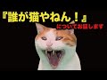 【真相】「だれが猫やねん」についてお話します【猫アニメ】【コント】