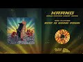 Krang  make arcade great again full album