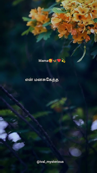 en maman madurai veeran🥰❤ #trendingshorts #90kidslove #tamilsong #love #trendingreels #90stamillove