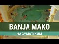 Banja mako hagymatikum maarska