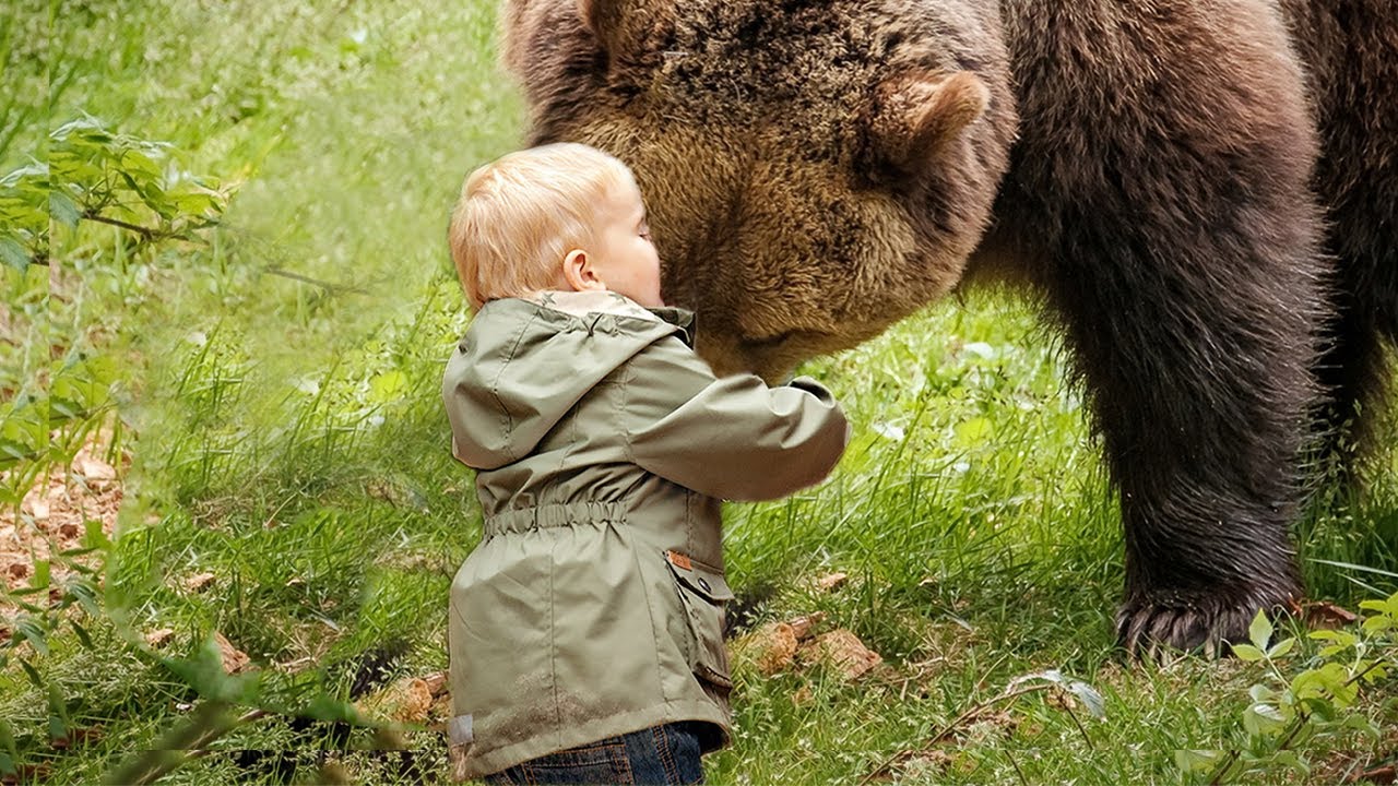 Почему маша дружит с медведем. Медведь дружит с человеком. Медведь и человек Дружба. Дружба с медведем. Мальчик и медведь.