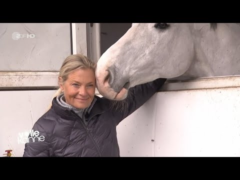 Video: So Verhindern Sie, Dass Ihr Pferd Einen Huf Verliert