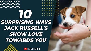 10 SURPRISING WAYS JACK RUSSELL