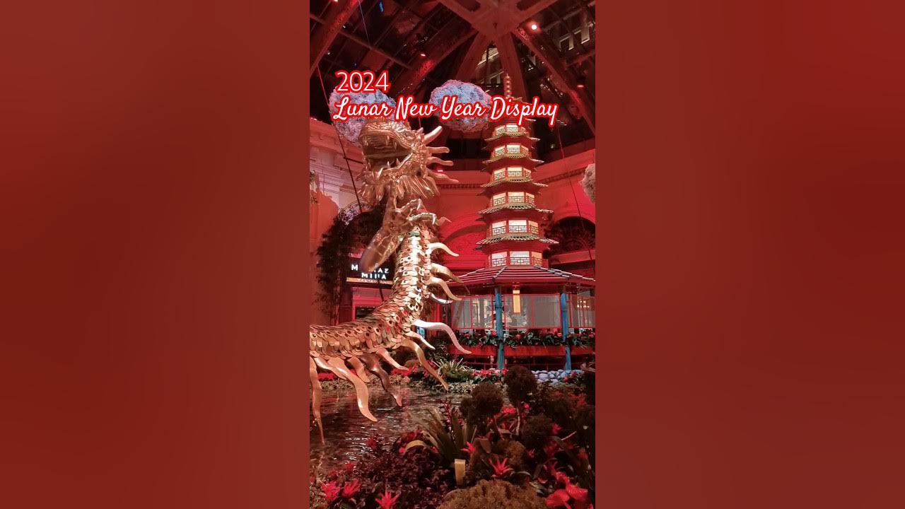 Bellagio Conservatory 2025 Lunar New Year Display 🧧 Chinese New Year of