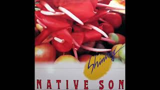 Native Son - Shining (1982)