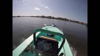 Skimmer on the flats