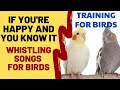 If You're Happy and You Know It Whistling - Cockatiel Singing Training