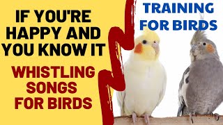 If You're Happy and You Know It Whistling  Cockatiel Singing Training