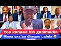 Mariin Hayyoota Keenyaa Akkam Ture Kaabutaa Gammachuu Ibsataa Jira Mariin Hayyoota Keenyaa Akkam Ture Kaabutaa Gammachuu Ibsataa Jira