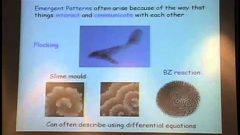 IMA Public Lectures : Making Sense of a Complex Wo...