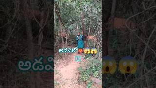 #nagarjuna#evergreenhits#melodymusic#music#spbalasubrahmanyam #spbhits #spb#spbsongs #teluguhitsong