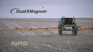 Weed of the Week #986 Yellow Nutsedge (Air Date 2-26-17)