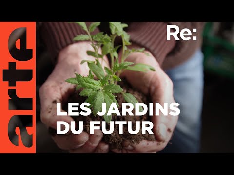 Un jardin durable