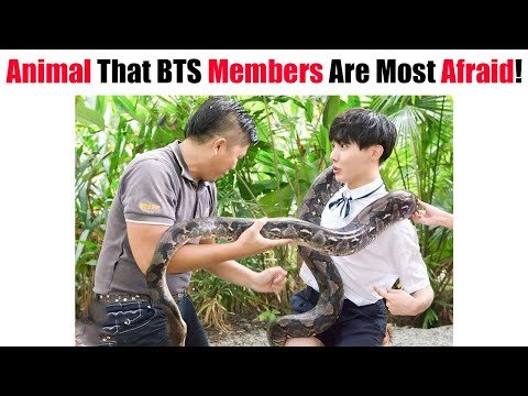 Animal That BTS Members Are Most Afraid!