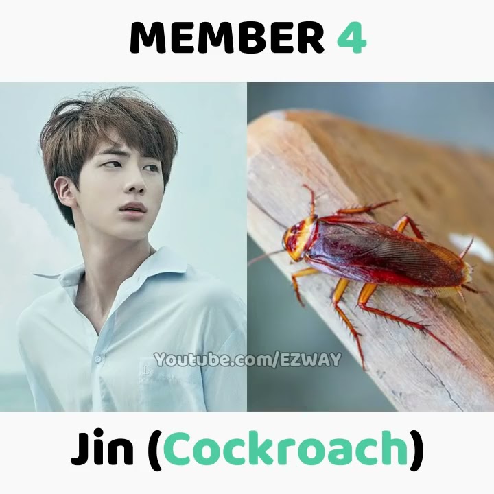 Animal That BTS Members Are Most Afraid!