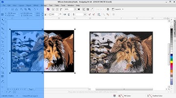 How to create vector graphics from an embroidery design in EmbroideryStudio