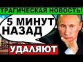 🔴 APECT МЕДВЕДЕВА И КАРАУЛОВА ПОТРЯС ДАЖЕ ПУТИНА, КЕДМИ, МИХЕЕВА, ШОЙГУ, ШВЕЦА, ПЛАТОШКИНА, ХАЗИНА