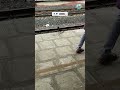 கூடுகட்ட தயாராகும் காகம் | kaaka in railway stations