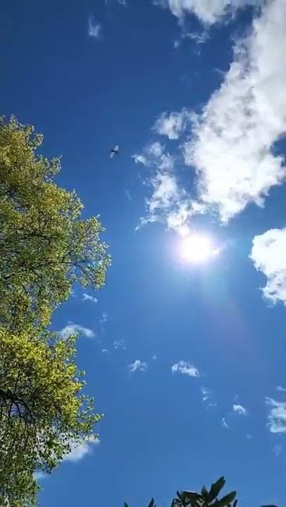 Matahari Indah, Langit Biru, Awan | video asli saya #shorts #awan #alam #santai #langitbiru