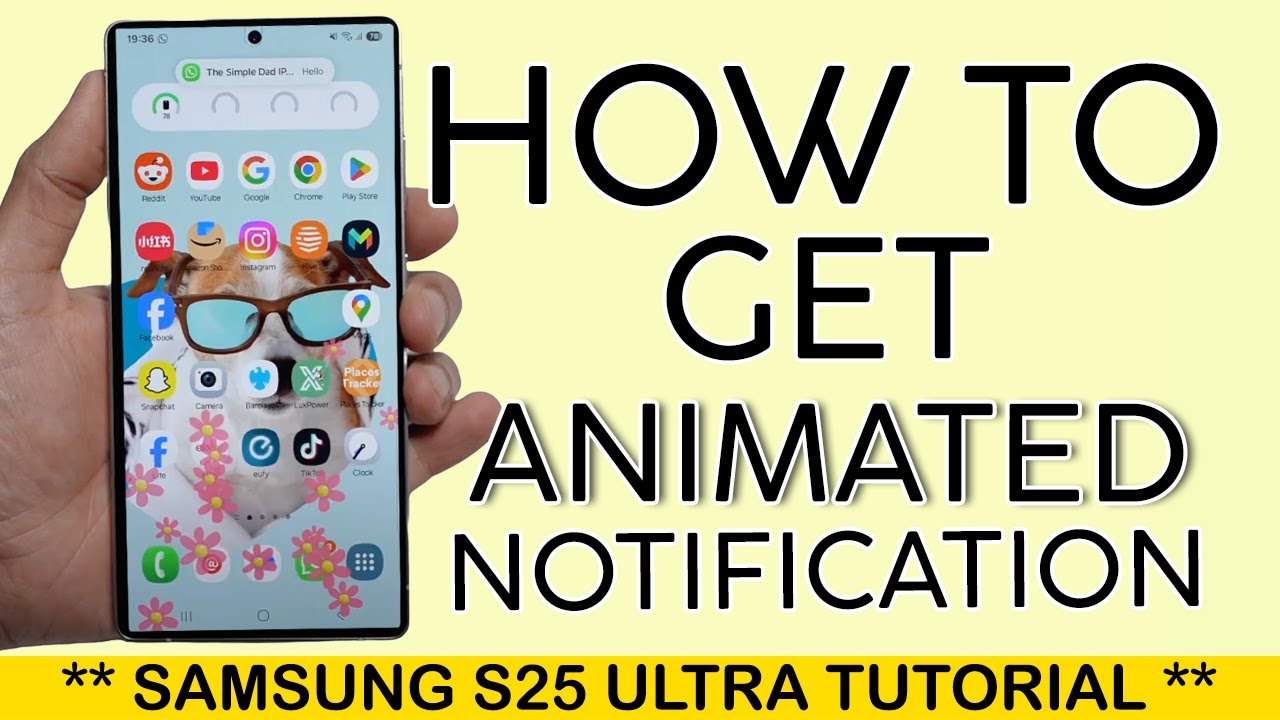 How to Get Animated Notification on Samsung S25 Ultra 2025 - YouTube