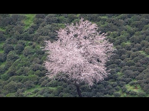 Sabahınız Xeyr Gununuz Uğurlu Olsun Dostlar