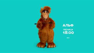 «Альф» сегодня в 18:00 на СТС Love «Альф» сегодня в 18:00 на СТС Love