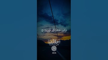 قاتلوهم يعذبهم الله بأيديكم ويخزهم وينصركم عليهم ويشف صدور قوم مؤمنين | الآية 14 من سورة التوبة #