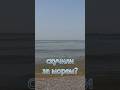 Скучили за морем Насолоджуйтесь Скучили за морем Насолоджуйтесь