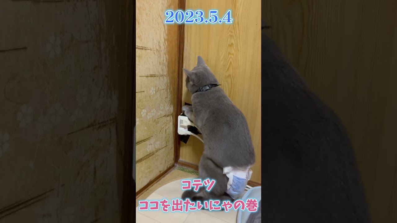 コテツのとある日常禄(とっても過去)