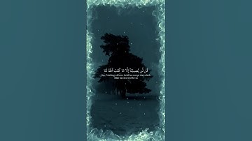 انشر الخير 🕊️ آيات قصيرة بمعاني عظيمة #quran #قران #تلاوة #قران_كريم #راحة_نفسية