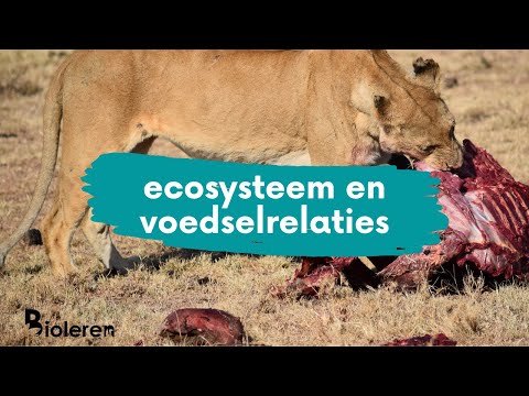 Bioleren - ecosysteem en voedselrelaties