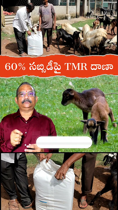 AP Govt - TMR Supply @60% Subsidy Cost