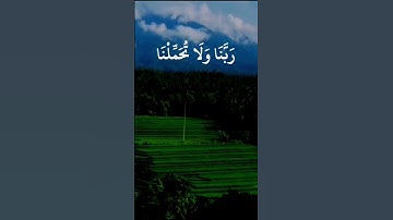لَا يُكَلَّفُ اللَّهُ نَفْسًا إلَّا وُسْعَهَا 🕌💛راحة نفسية ⚘️حالات واتس اب قرآن كريم بصوت جميل Quran