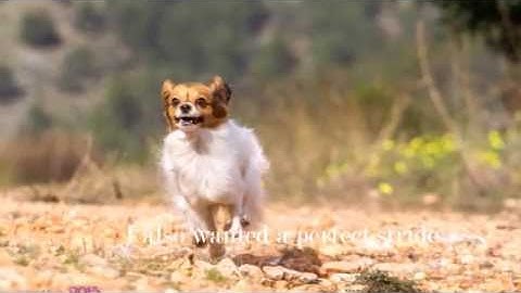 RUNNING CONTACT- our method - Right from the start (I don´t own the music)