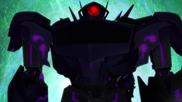 Shockwave Tribute TFP