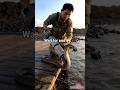🐍King Cobra GoPro in Underwater Volcano Secret Chamber Found#kobra ab#UnderwaterVolcano#reels#vairal