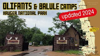 Kruger National Park: Olifants Rest Camp & Balule Satellite Camp UPDATED