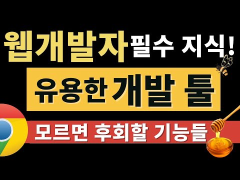 웹개발 툴, 그것을 알려드림 (숨겨진 유용한 기능들🍯🐝)