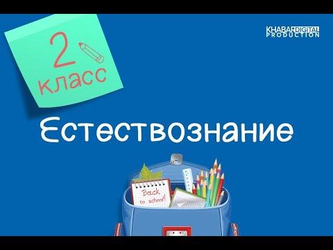 Естествознание. 2 класс. Почему предметы движутся /17.02.2021/