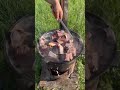 Meat     pandasakha yakutia