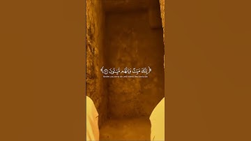 إنك ميت وأنهم ميتون😢.للقارئ #ياسر_الدوسري #اكسبلور #هاشتاقات #قرآن #دويتو #لايك #اجر #الرحمن #ذكر