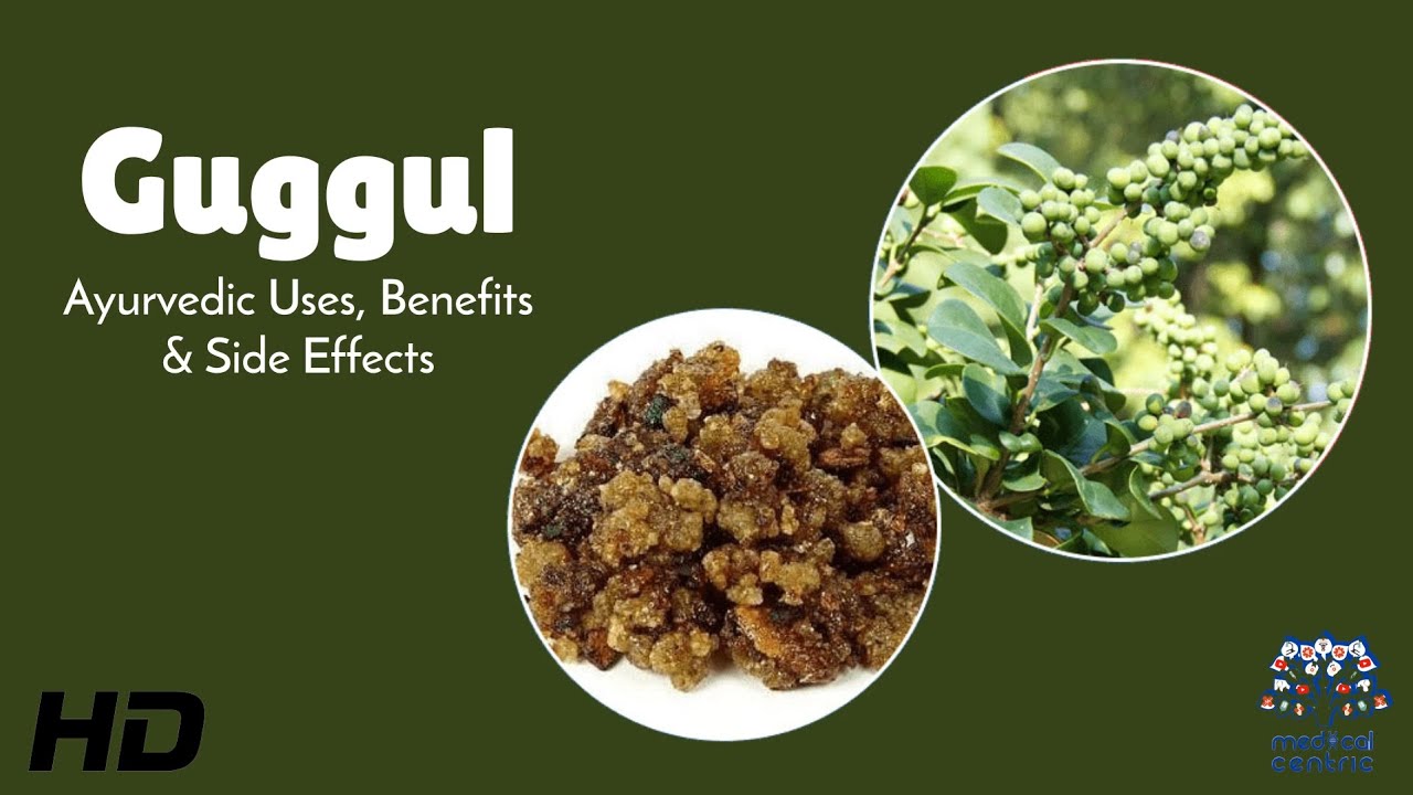 Guggul : Ayurvedic Uses, Benefits & Side Effects Explained in Detail ...